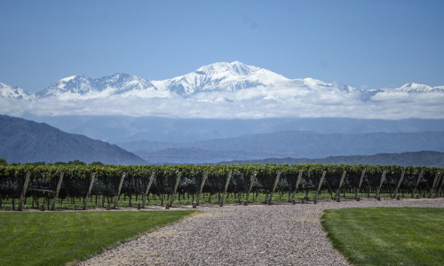 vista-panoramica-fascinante-arboles-pradera-organizados-gran-montana-blanca-nevada-horizonte.png